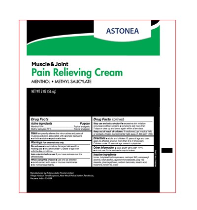 Principal Display And Drug Fact Panel (19 212 Pain Releiving Cream Tube   Astonea)